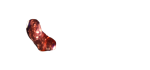 gota-1
